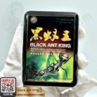 Black Ant King-2