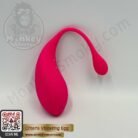 Clitoris Vibrating Egg-1