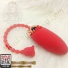 ไข่สั่นกุหลาบ6