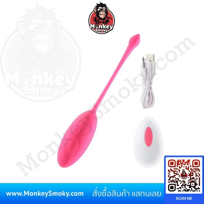 Remote Control Vibration Egg V2-2-ปก