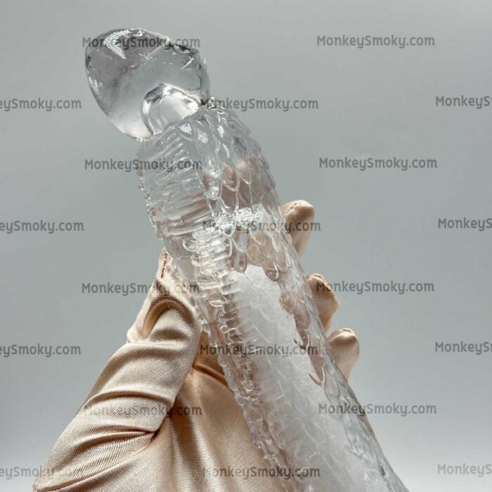 ปลอกเกล็ดใส-6