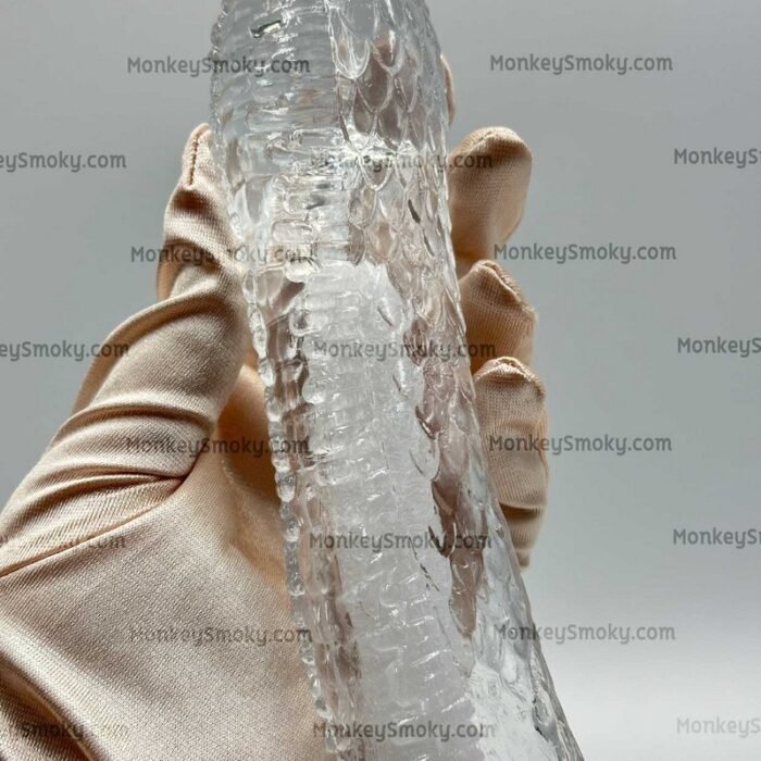 ปลอกเกล็ดใส-8