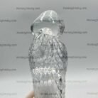 ปลอกเกล็ดใส-9